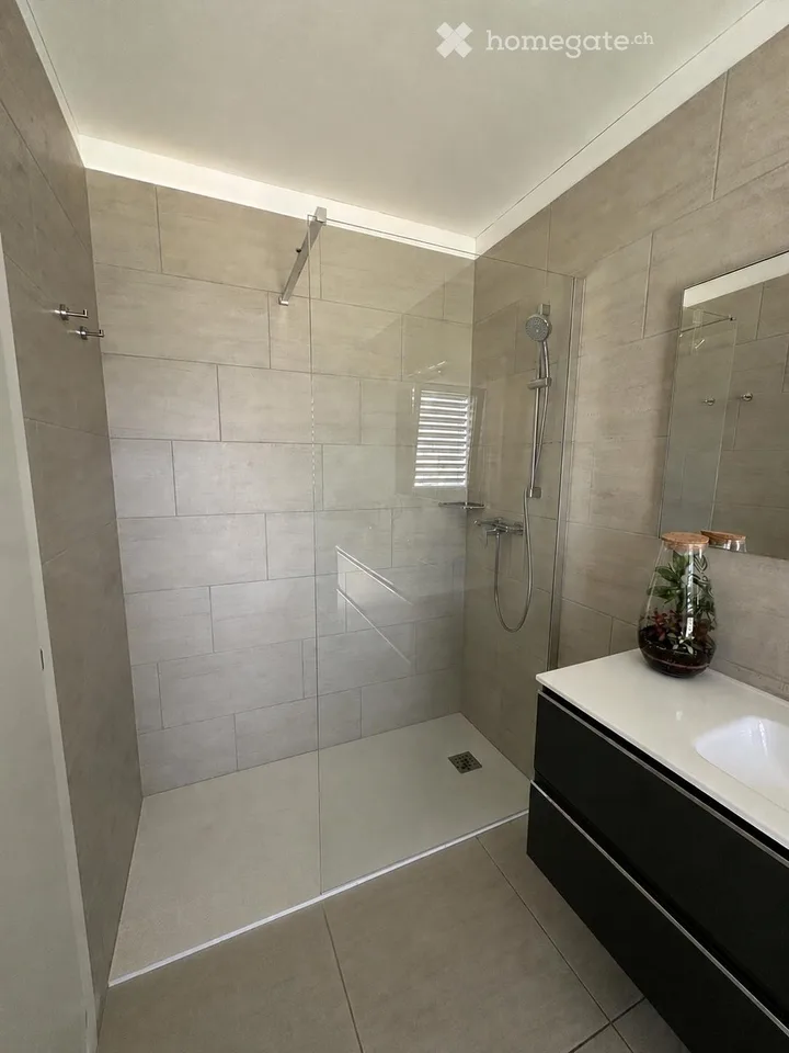 Recherche d'un sous-locataire pour un splendide appartement 4.5 pièces à Mendrisio