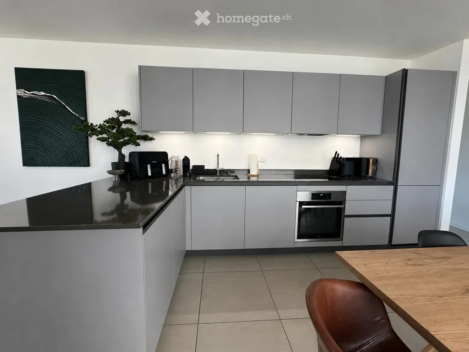 Recherche d'un sous-locataire pour un splendide appartement 4.5 pièces à Mendrisio