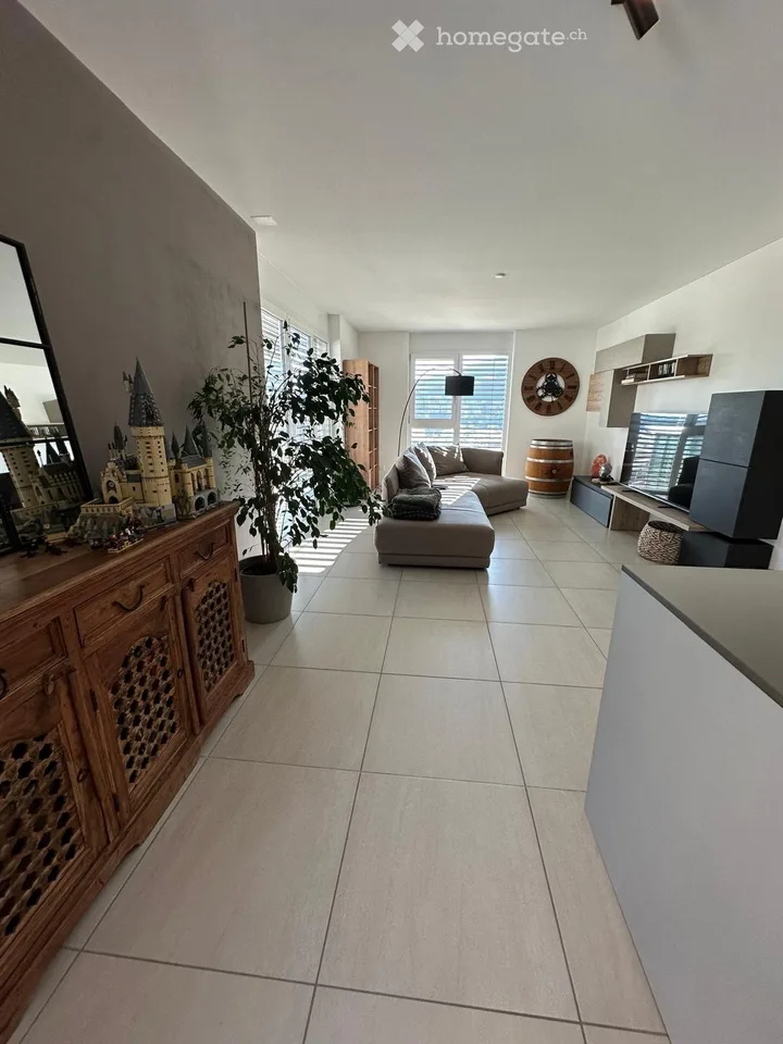 Recherche d'un sous-locataire pour un splendide appartement 4.5 pièces à Mendrisio