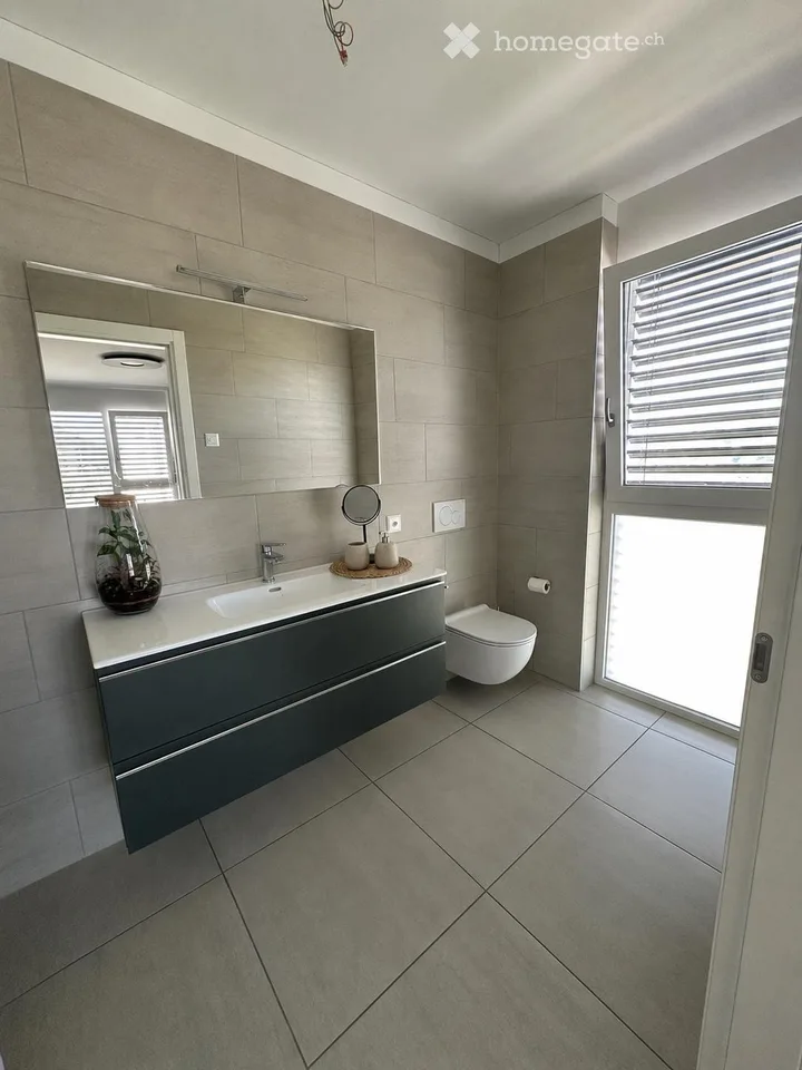 Recherche d'un sous-locataire pour un splendide appartement 4.5 pièces à Mendrisio