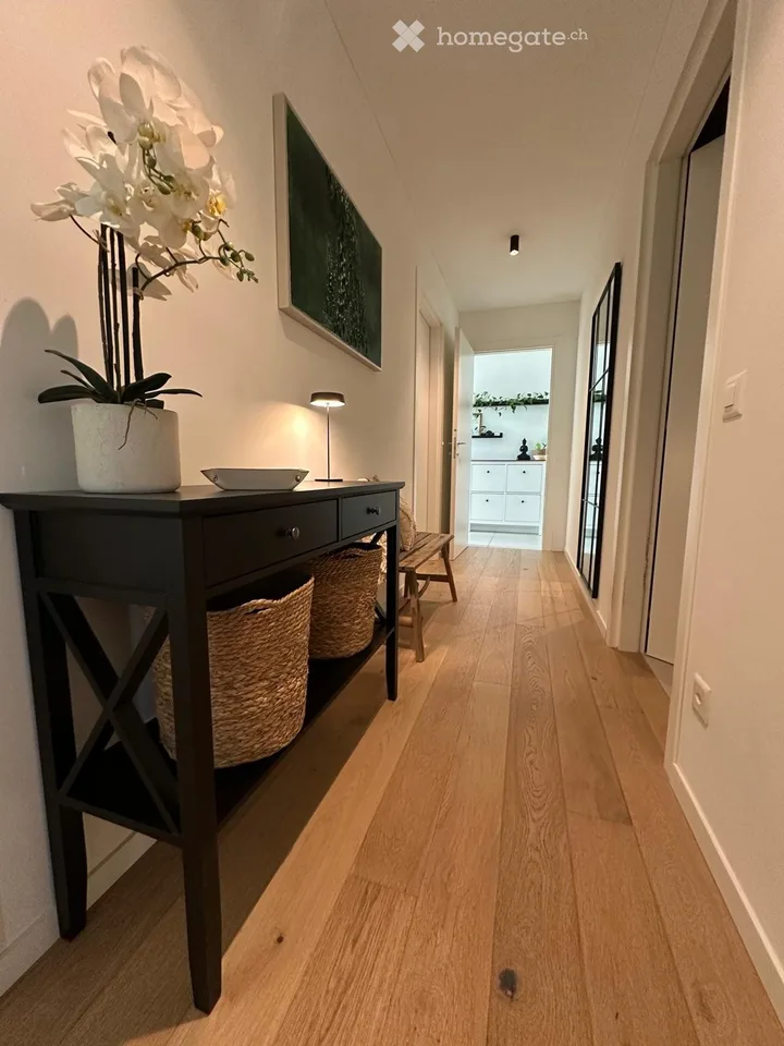Recherche d'un sous-locataire pour un splendide appartement 4.5 pièces à Mendrisio