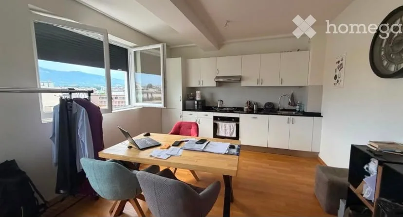 Appartement de 2 pièces à Carouge