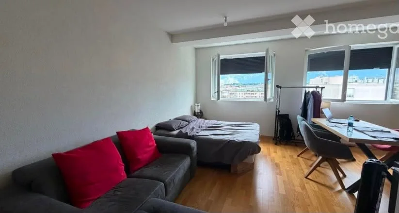 Appartement de 2 pièces à Carouge