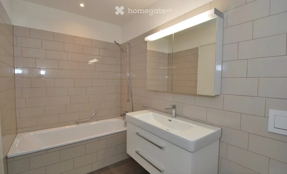 Moderne 3.5-Zimmer-Wohnung nahe Hallwilersee