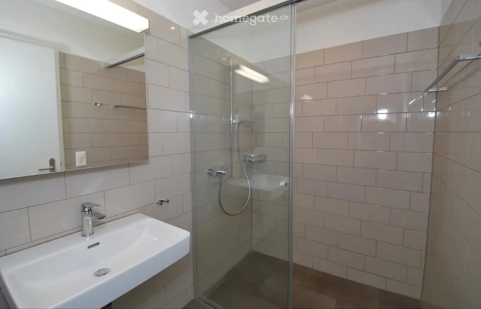 Moderne 3.5-Zimmer-Wohnung nahe Hallwilersee