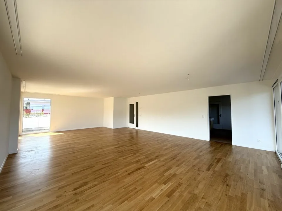 Sofort bezugsbereit - helle Attikawohnung in Aesch BL