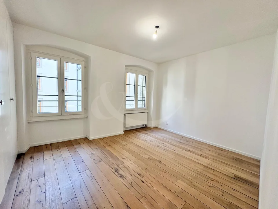 Elegante duplex loft nel cuore di Ginevra - a due passi dai Quais des Bergues