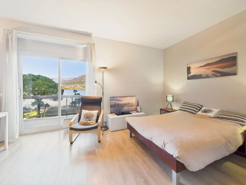 Elegantes Einzimmerapartment mit Seeblick in Paradiso renoviert
