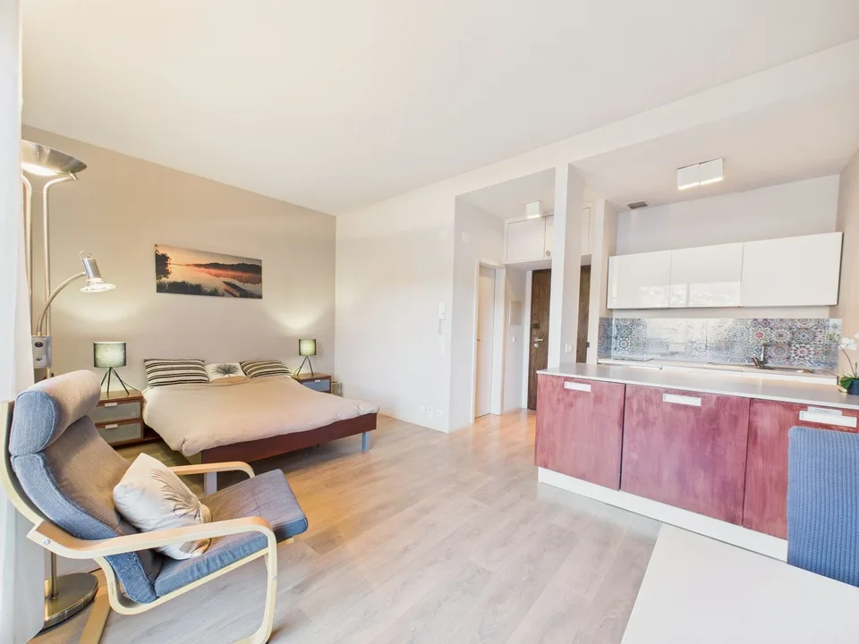 Elegantes Einzimmerapartment mit Seeblick in Paradiso renoviert