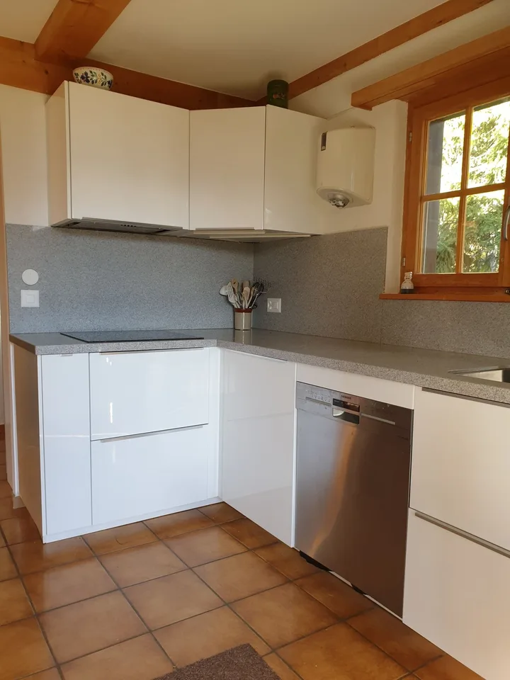 Ferienvermietung: Chalet La Luy