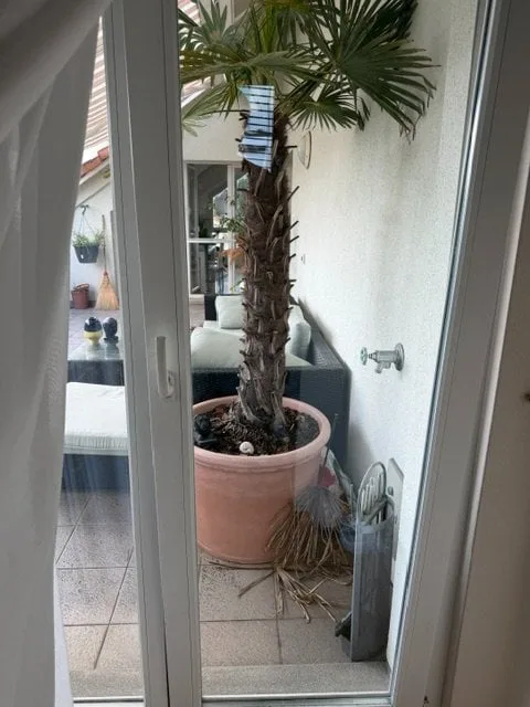 Ampia camera con bagno privato in appartamento mansardato