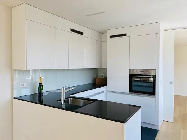 Appartamento moderno ad Albisrieden