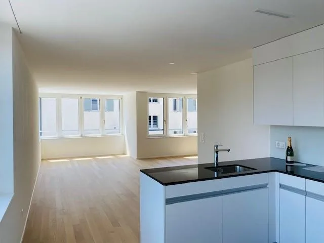 Appartamento moderno ad Albisrieden