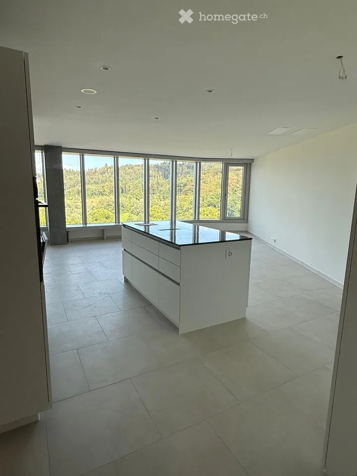 2½-Zimmer Wohnung in Kriens mieten