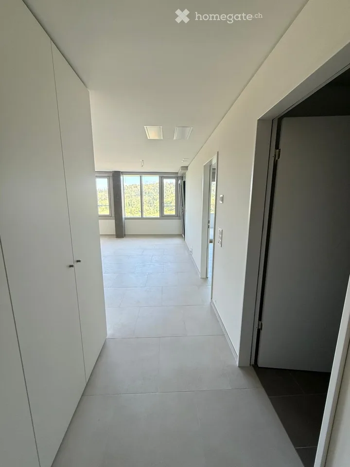 2½-Zimmer Wohnung in Kriens mieten