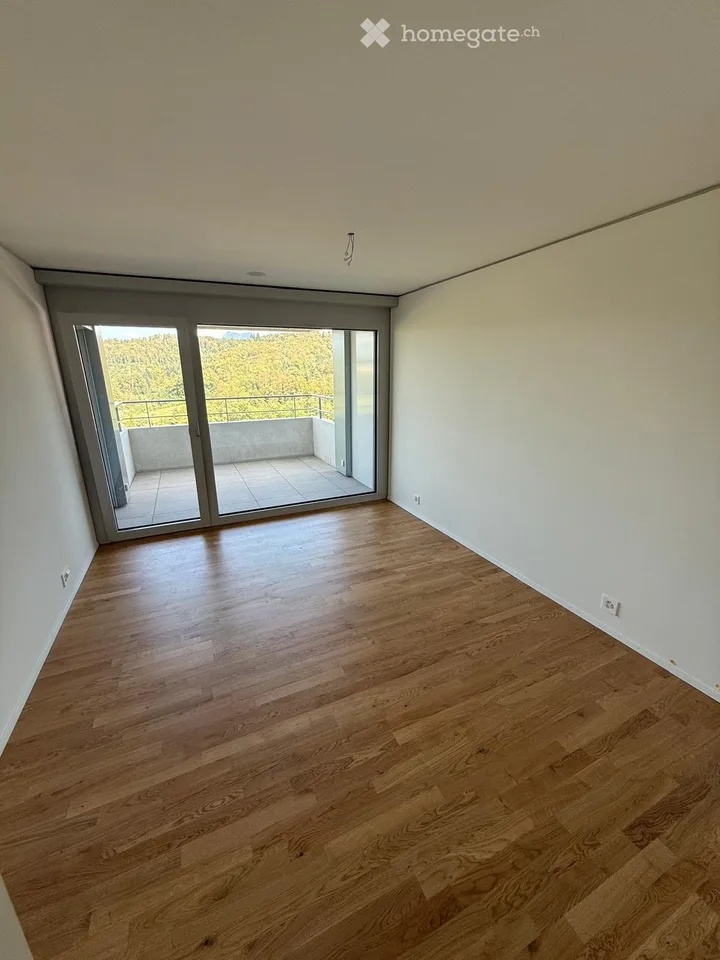 2½-Zimmer Wohnung in Kriens mieten