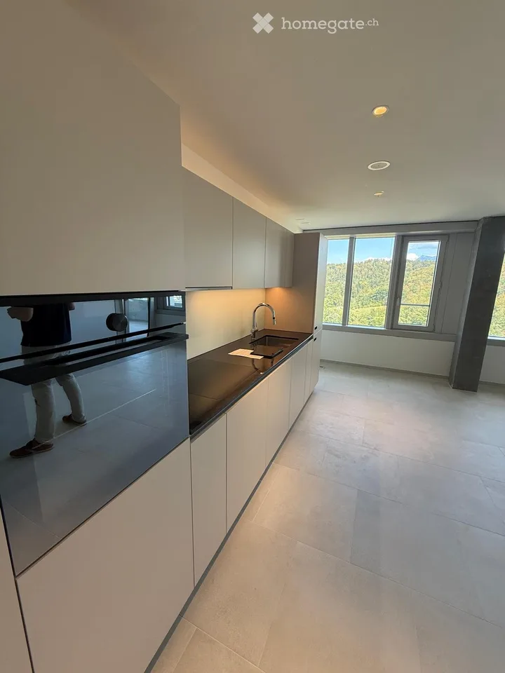2½-Zimmer Wohnung in Kriens mieten