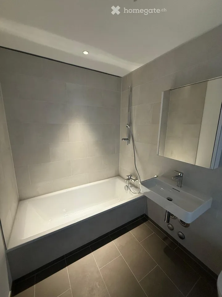 2½-Zimmer Wohnung in Kriens mieten