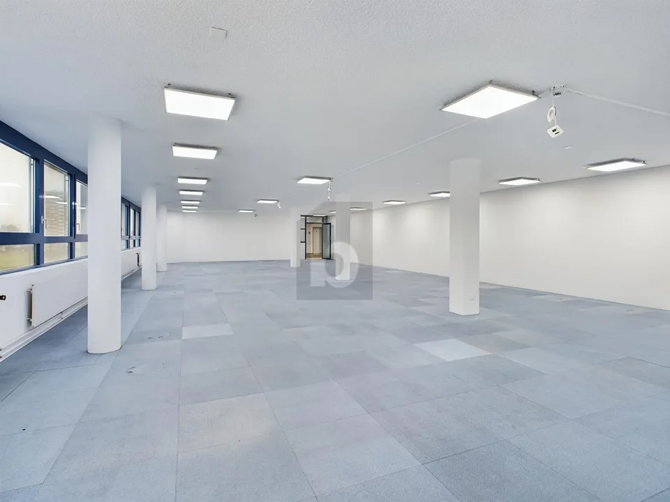 Da ufficio singolo a grande spazio (200/400/800 M2)
