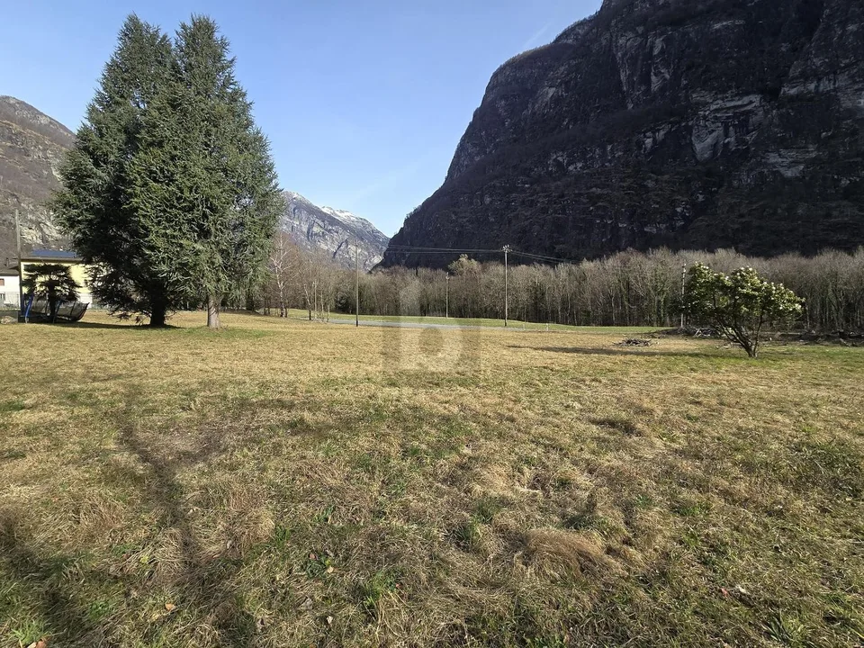 Weites und sonniges Grundstück in ruhiger Lage