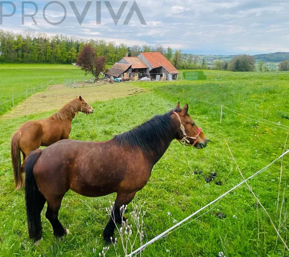 Ferme transformé - prix attractif