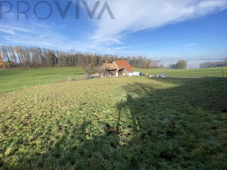2600 m2 terreno con casa da ristrutturare e potenziale
