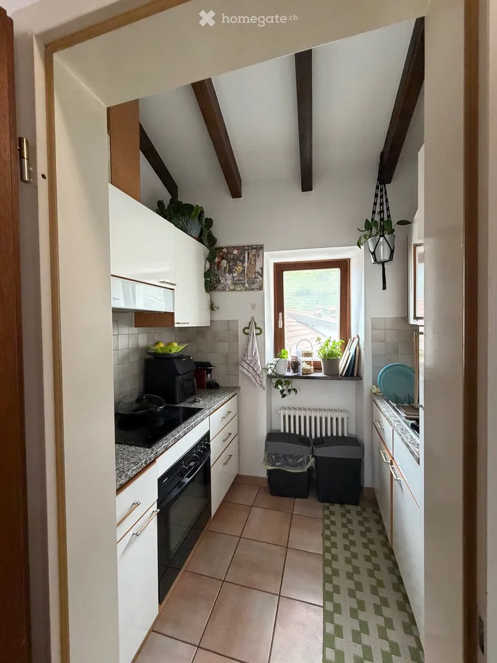 Appartamento Tenero 2,5