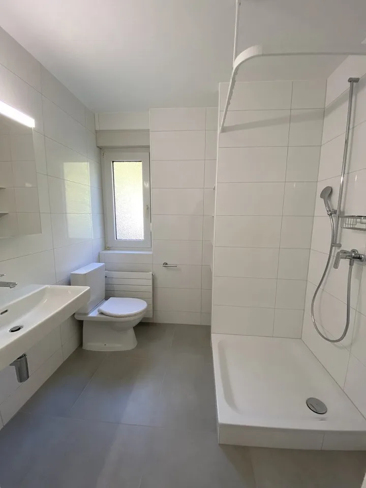 Entièrement rénové avec vue sur le Lac ! – photo 7 sur 9
