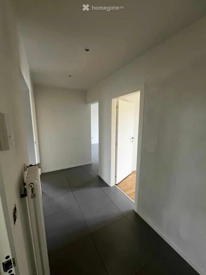 2 Wohnungen mit Terrasse und 3.5 Zimmern in Besazio, sofort zu vermieten