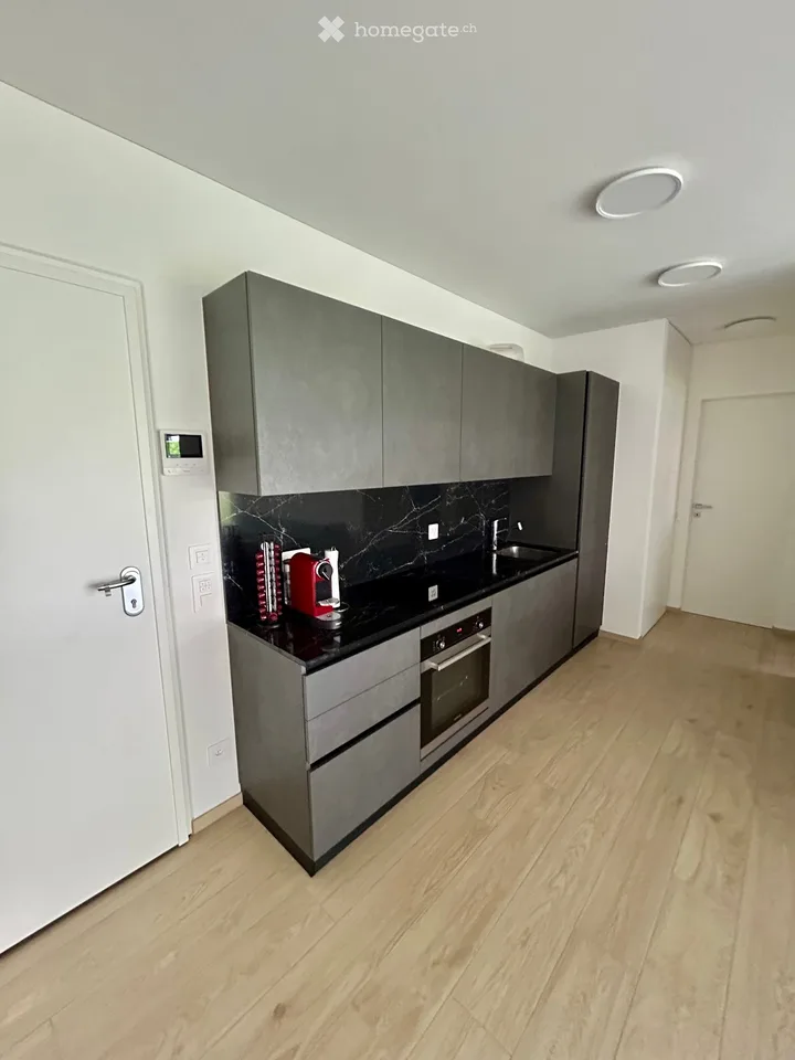 Neues und modernes Apartment mit eigenem Garten