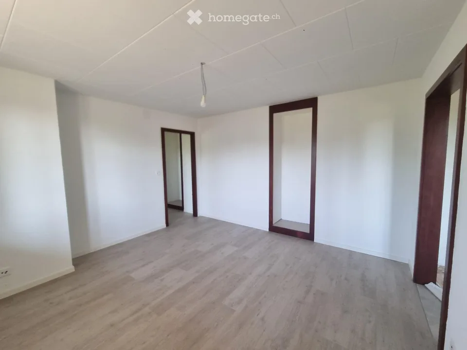 Appartamento di 2 locali completamente ristrutturato con cucina attrezzata - accesso al giardino