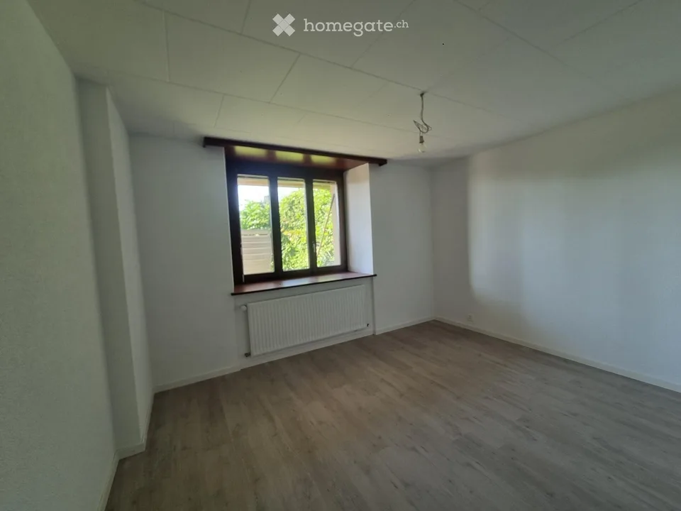 Appartamento di 2 locali completamente ristrutturato con cucina attrezzata - accesso al giardino