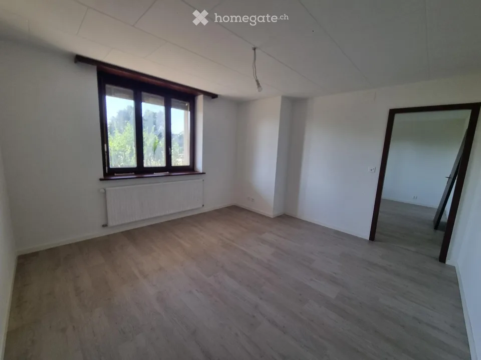Appartamento di 2 locali completamente ristrutturato con cucina attrezzata - accesso al giardino