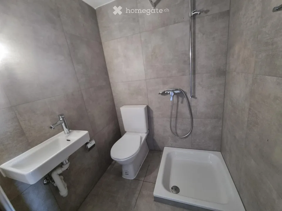 Appartamento di 2 locali completamente ristrutturato con cucina attrezzata - accesso al giardino