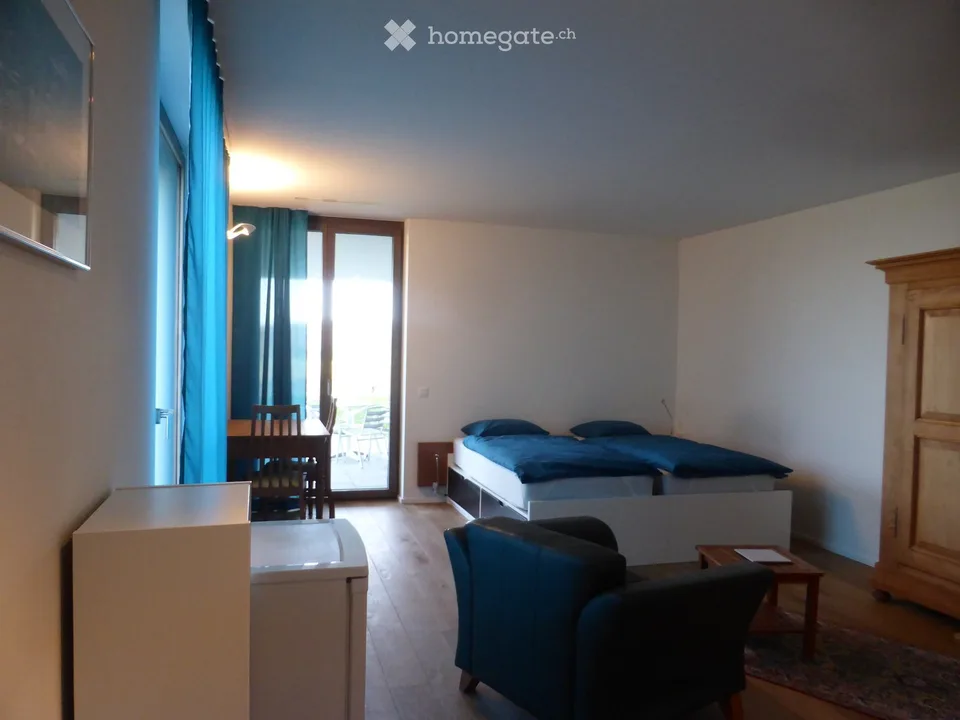 Ampio appartamento arredato 1 camera a Winterberg ZH