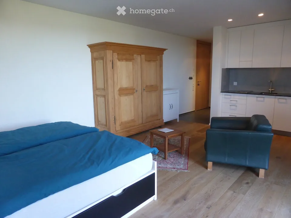 Ampio appartamento arredato 1 camera a Winterberg ZH