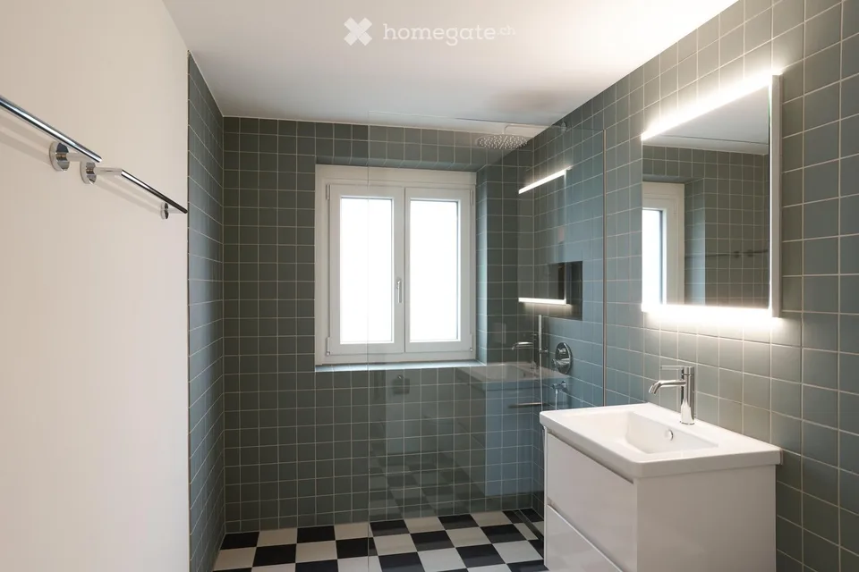 Bright and central apartment in close proximity to the Küsnachter Horn lake facility