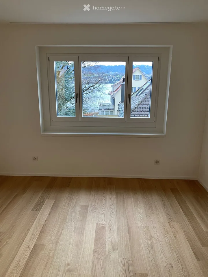 Bright and central apartment in close proximity to the Küsnachter Horn lake facility