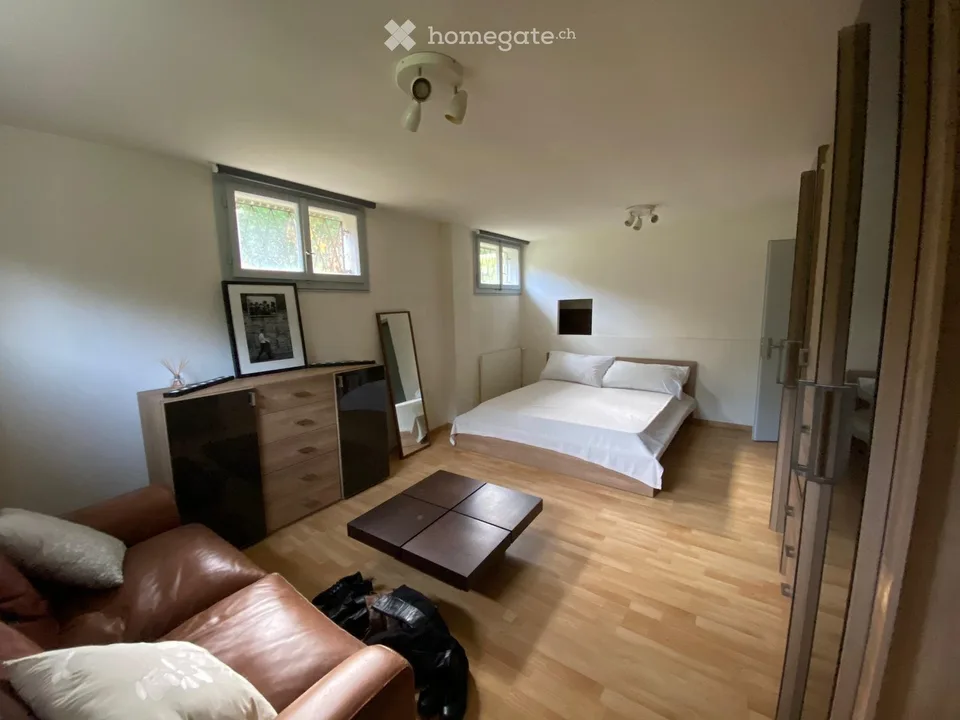 Family home with pool in the center of Vessy