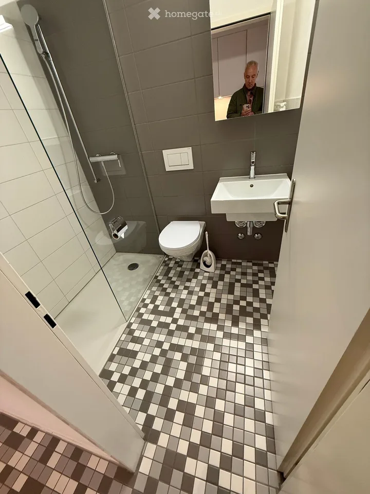 Large 1-room apartment in Ascona