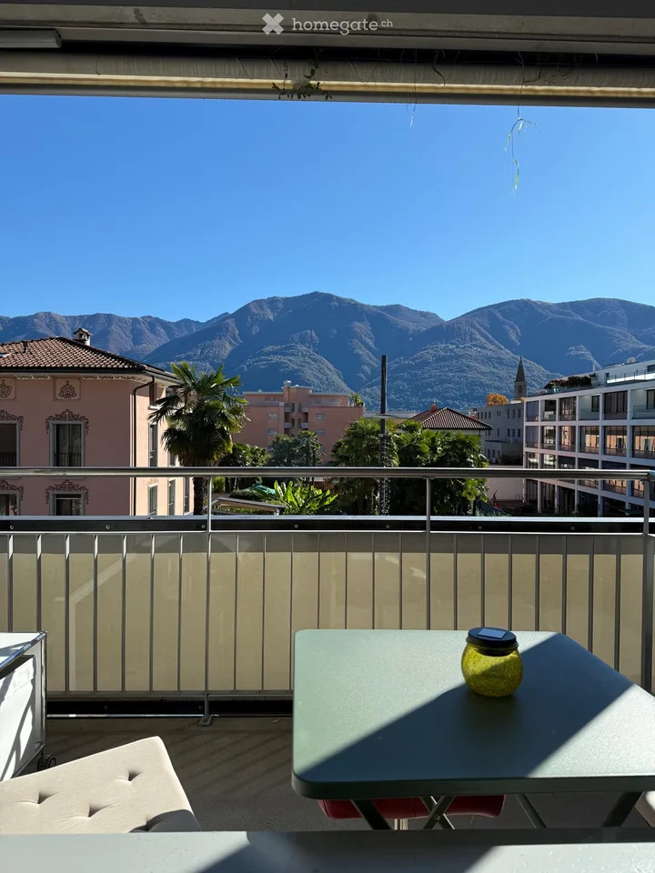 Large 1-room apartment in Ascona