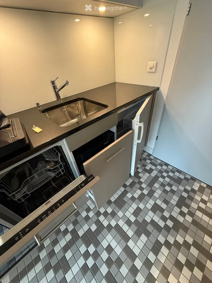 Large 1-room apartment in Ascona