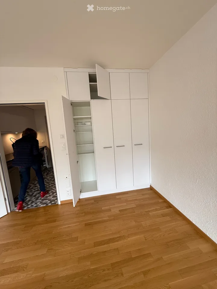 Large 1-room apartment in Ascona