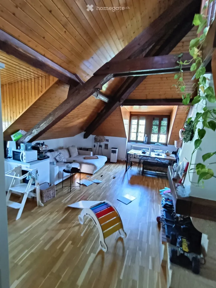 Charmantes 5.5-Zimmer-Wohnung in einer Villa in Carouge
