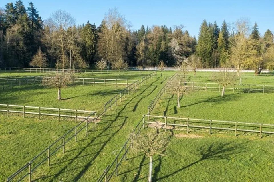 Immobile equestre con appartamento/stanza singola e arena di equitazione