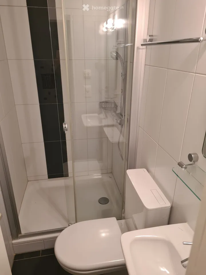 Tierfreundliche 4.5-Zimmer-Wohnung mit 2 Balkonen,  in Birmensdorf ZH – ab 01.09. 2026 verfügbar