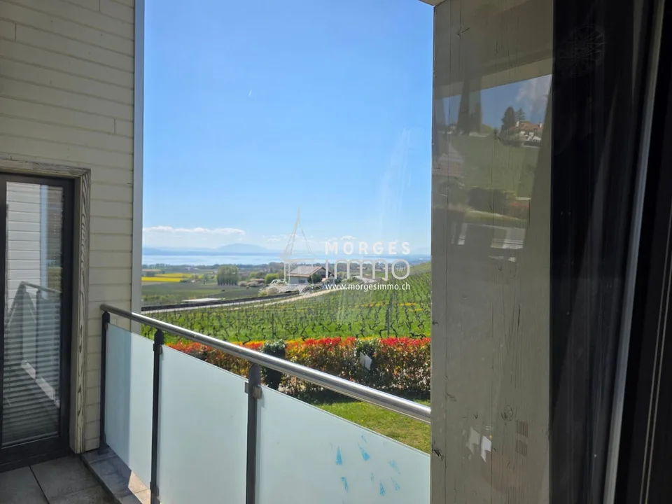 Villa familiare con giardino privato e vista sul Lago di Ginevra
