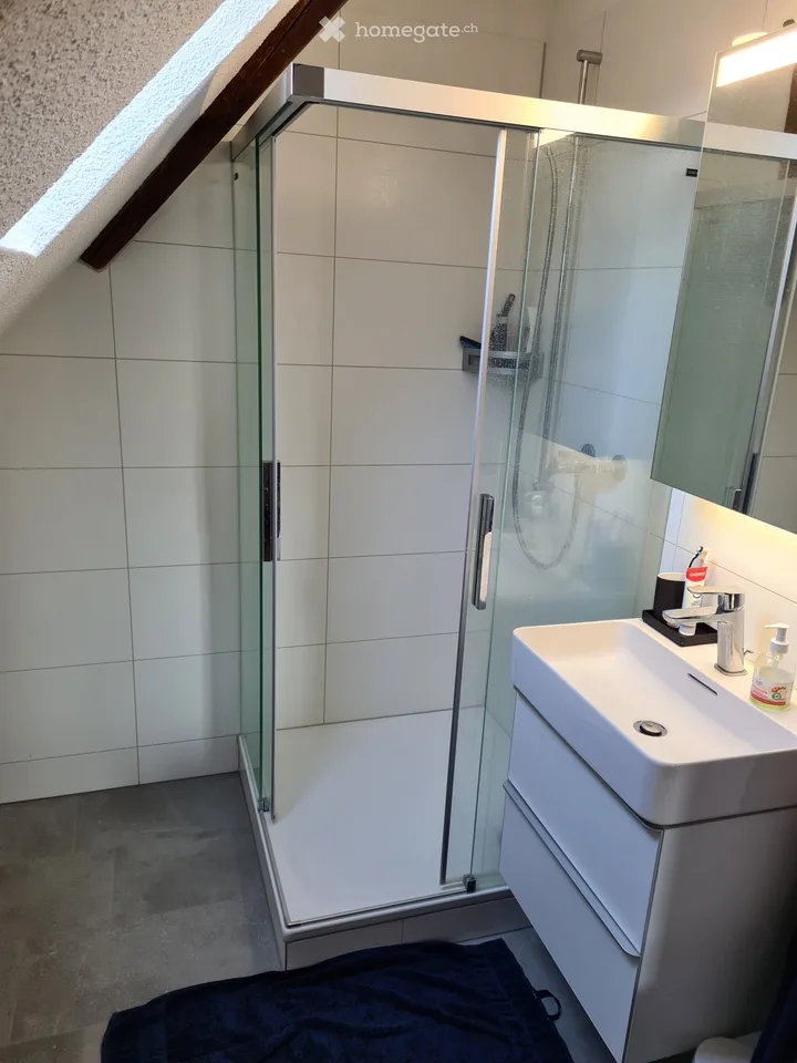 Appartamento sul tetto a Wettingen
