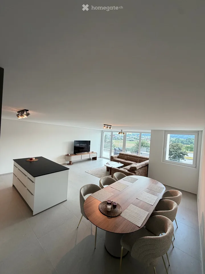Möblierte Neubau Attikawohnung Erstbezug