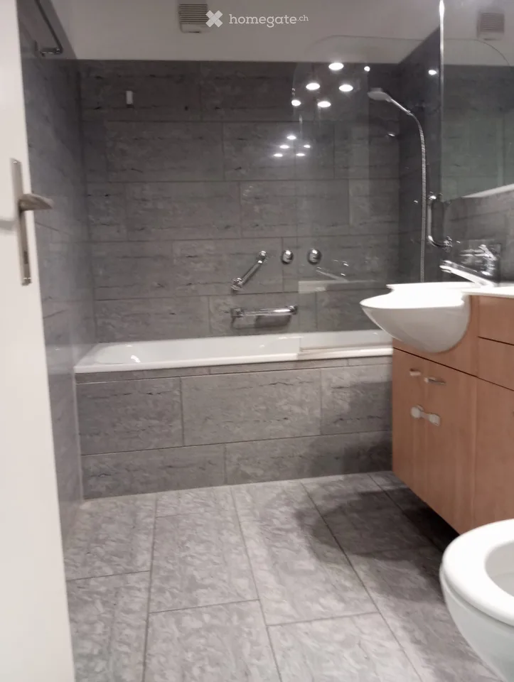 Schöne 4.5 Zimmer Wohnung in Höngg mit Parkplatz